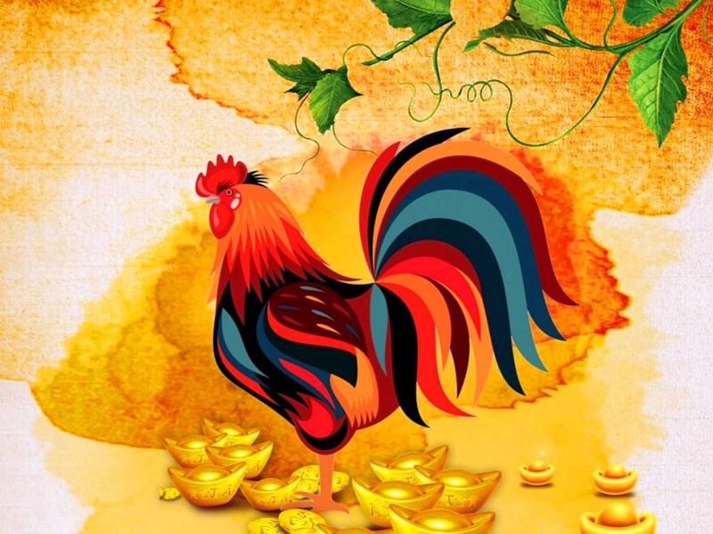 生肖雞這幾年的運勢