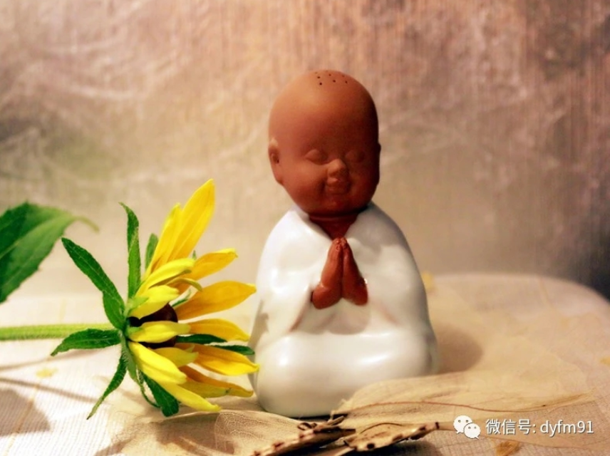 重磅！2022年屬蛇猴豬虎生肖福主應(yīng)注意