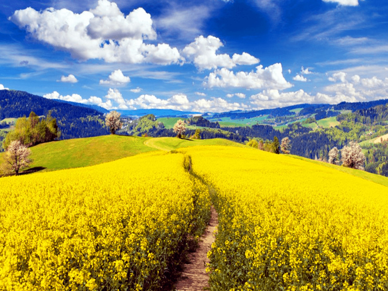 姓名，就是孩子人生運(yùn)勢(shì)的起跑線