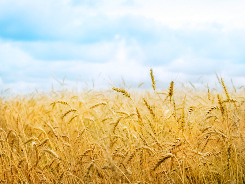 興于勤儉，衰于奢侈