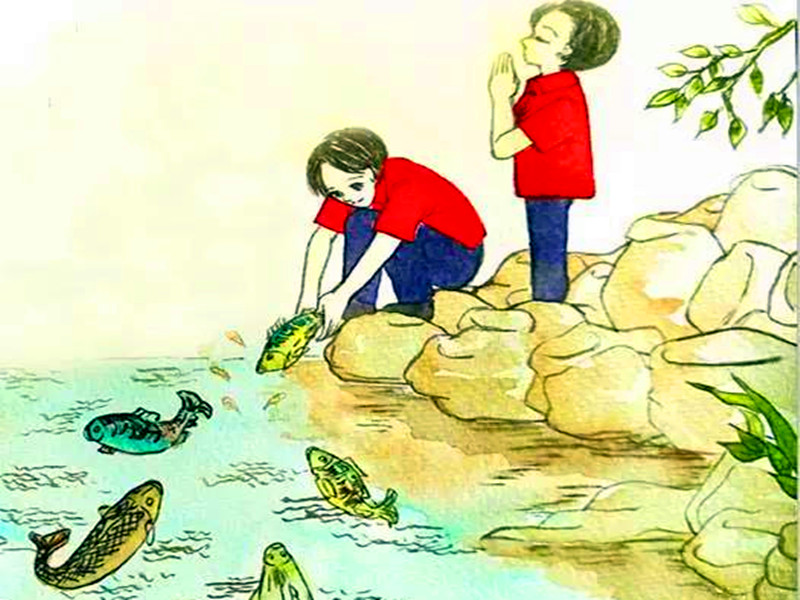 多放生，為自己和家人積德行愿