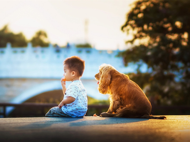 2022年開始，屬狗人開始走運了