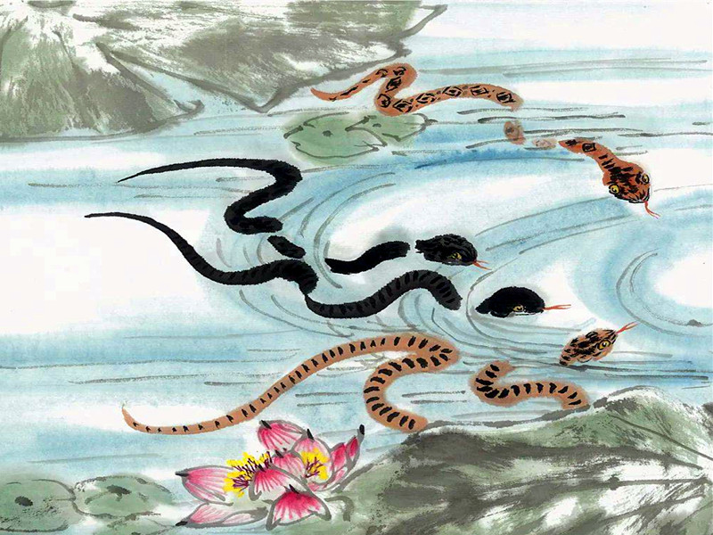 屬蛇人性格好不好？今年運勢怎么樣？