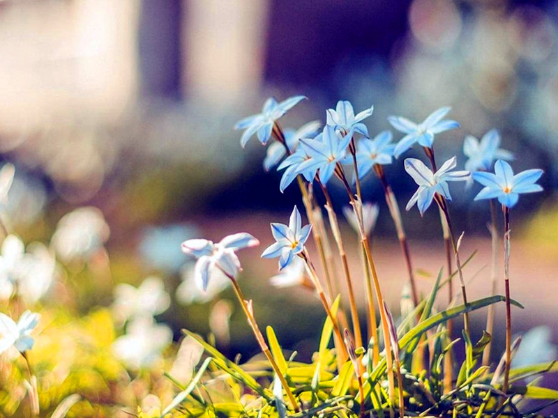 人生真的好無常