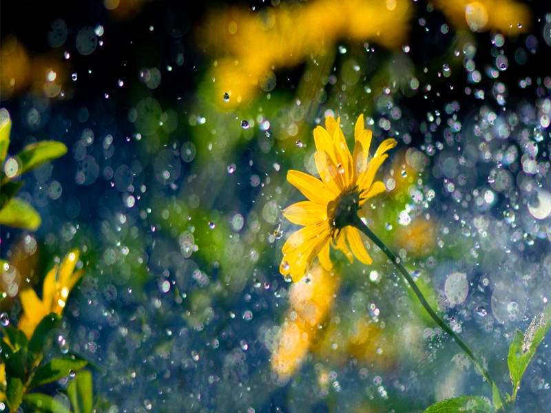 很多事情都應(yīng)在風(fēng)雨來臨前做好準(zhǔn)備