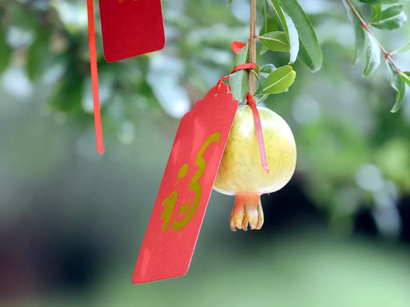 人遇逢九年，是人生中的重大坎坷