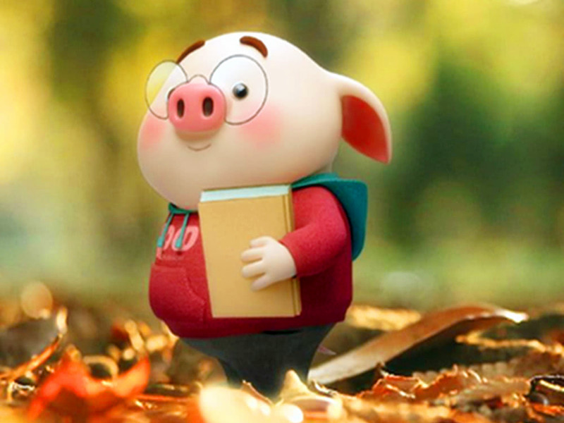 屬豬的人性格及命運(yùn)怎么樣呢？