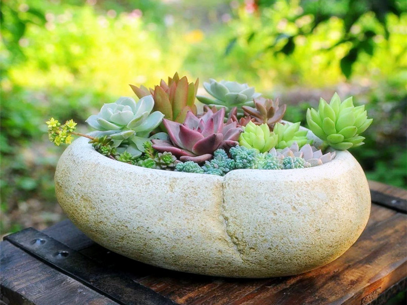 家中種綠植有什么風(fēng)水講究？