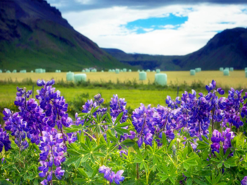 祖先是否安寧，直接關(guān)系到個(gè)人以及家運(yùn)哦！