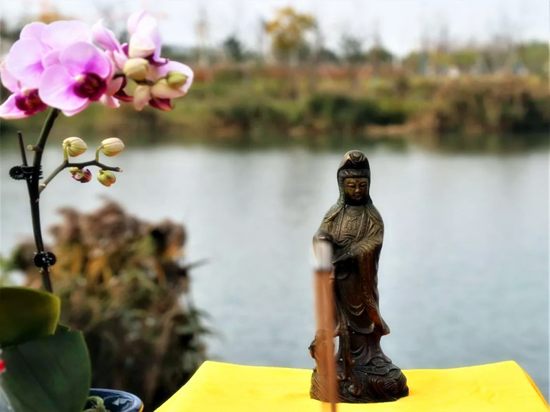 例舉兔年犯太歲的真實案例