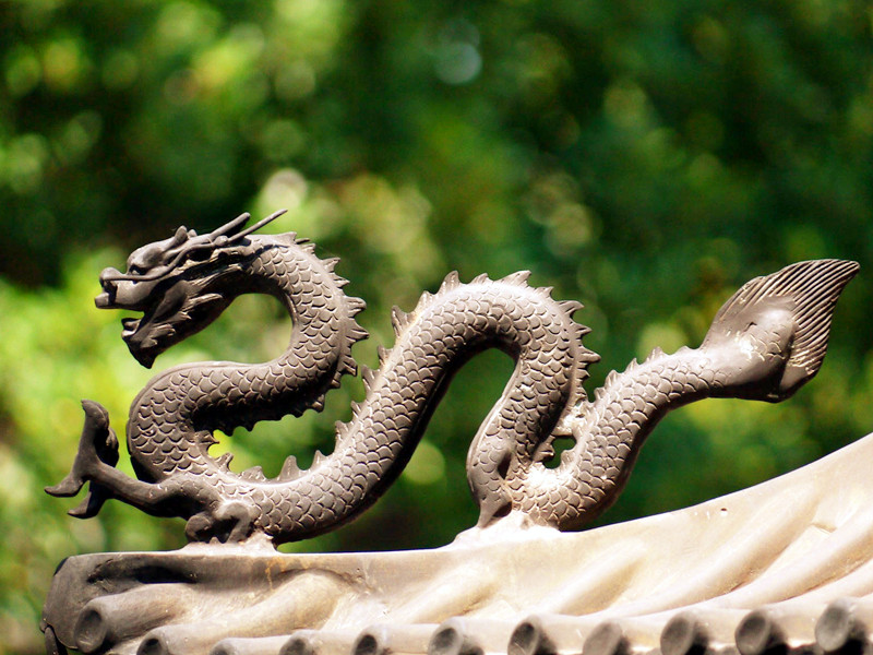 屬龍人的性格命運(yùn)怎么樣呢？