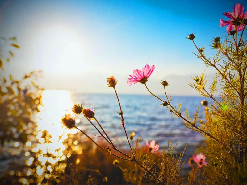 一方水土，一方氣運(yùn)