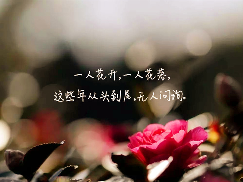 人啊，太能干了，有時(shí)并不是好事