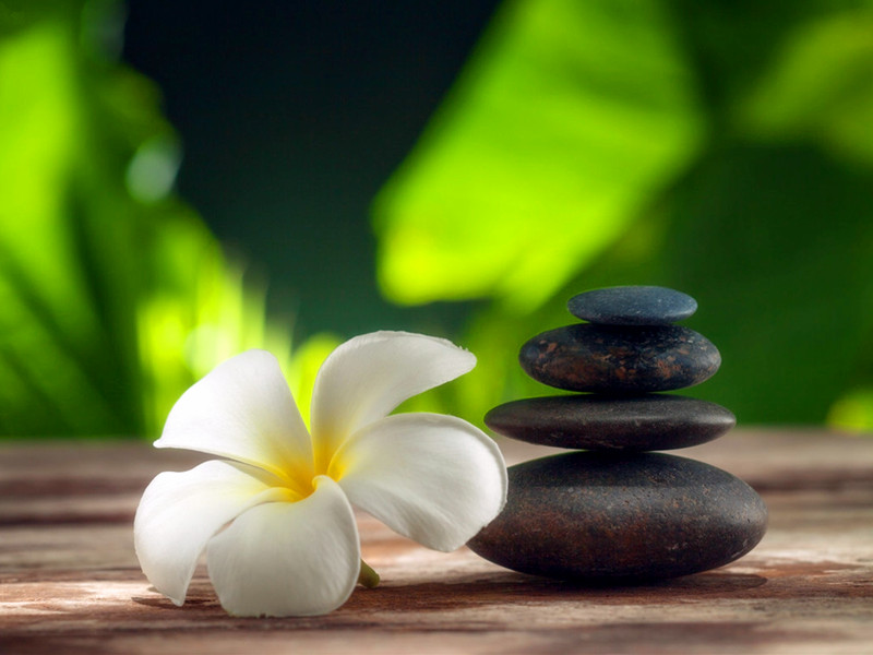 我們無時無刻都被五行生克主宰著