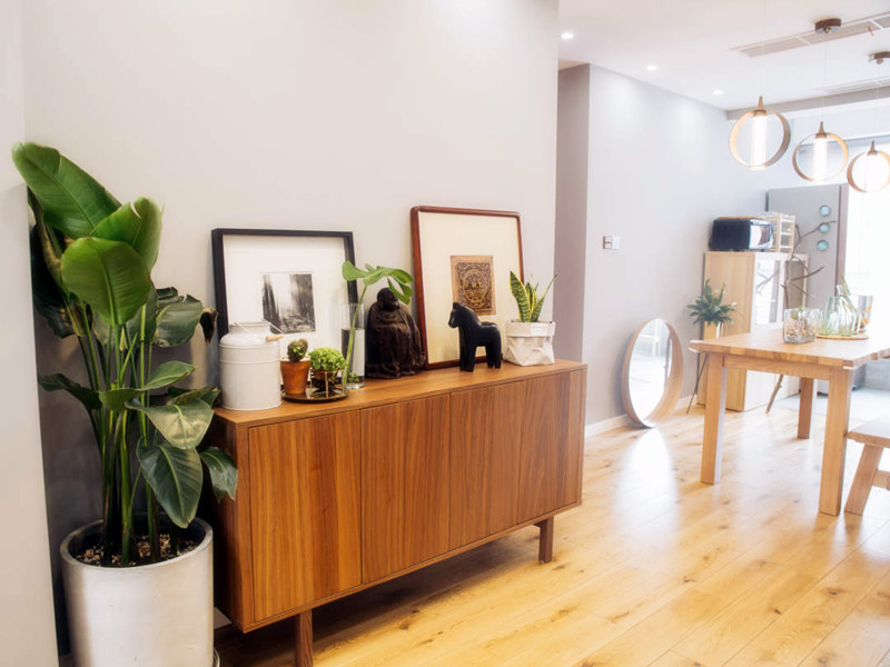 綠植擺放要講究