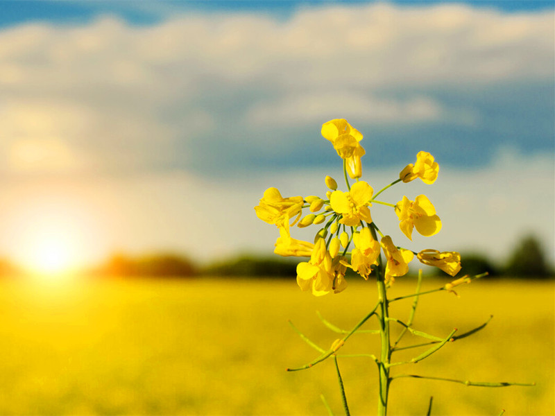 尊重生命，好好活著