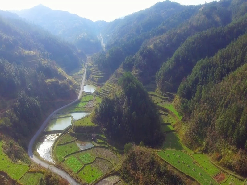 風(fēng)水，現(xiàn)場看，才靠譜！