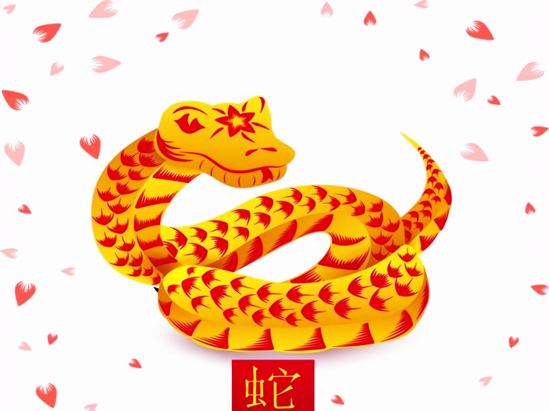 屬蛇的人性格特點