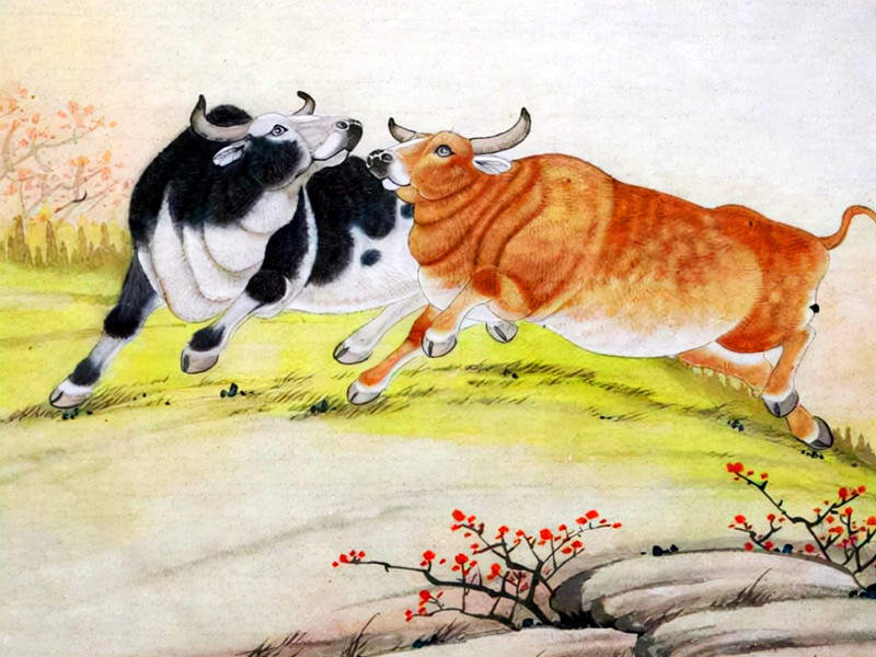 屬牛人，名字里頭最怕用什么字？