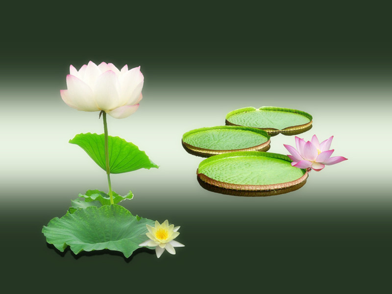 真人實例分析犯太歲的不利