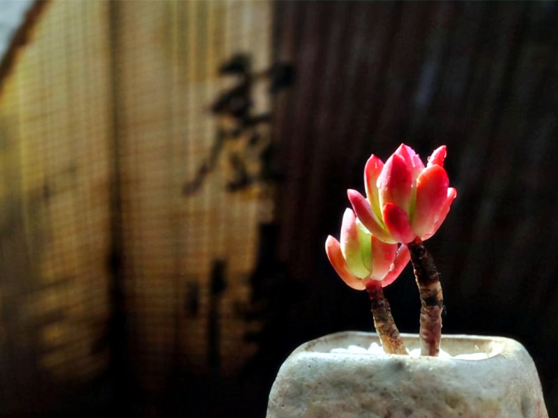 人生苦樂，一念之間