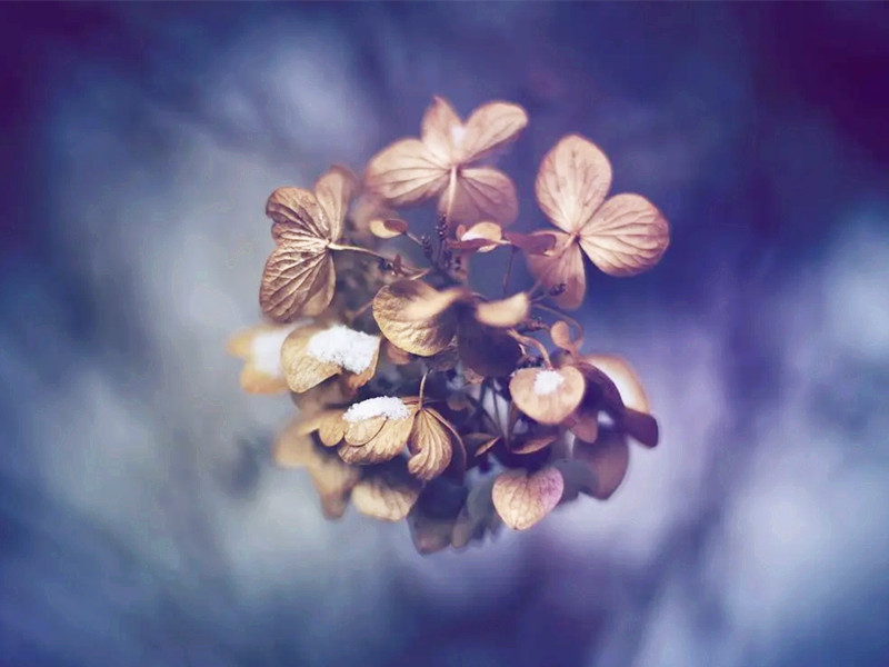 生活可以隨便，生命卻要認(rèn)真