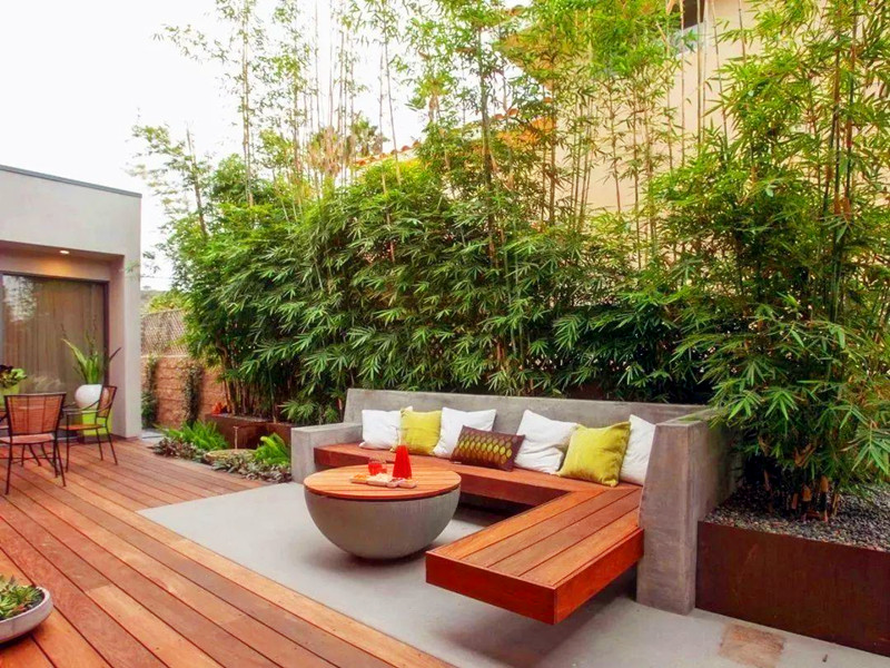 植物也是有靈性的