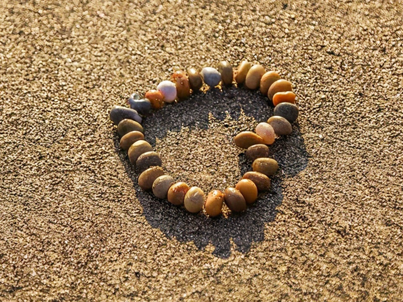 知因懂果，一切隨緣