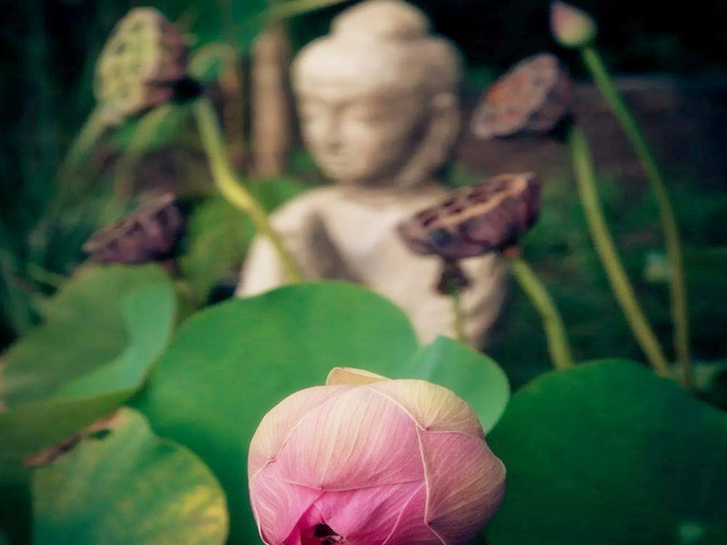 取個(gè)好名字，是需要投入時(shí)間和精力的