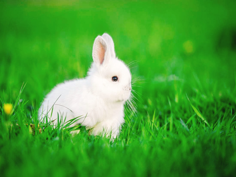 1607667542538403.jpg 1607667542538403.jpg