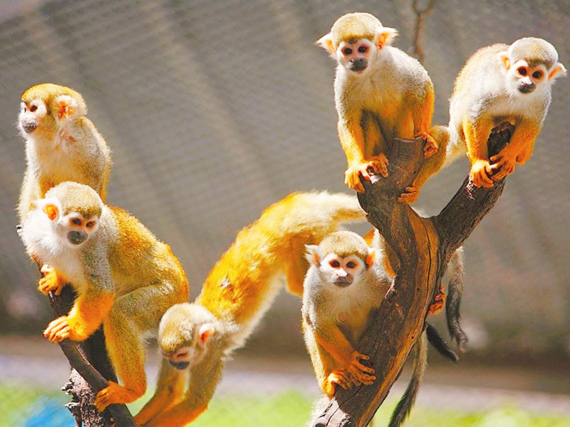 1607928105892586.jpg 1607928105892586.jpg