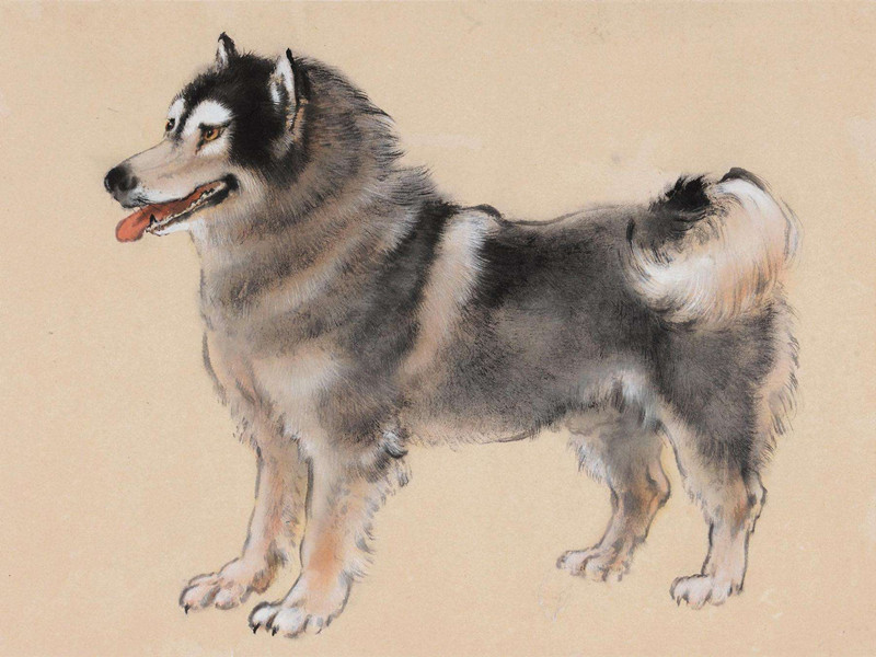 1608014060114247.jpg 1608014060114247.jpg