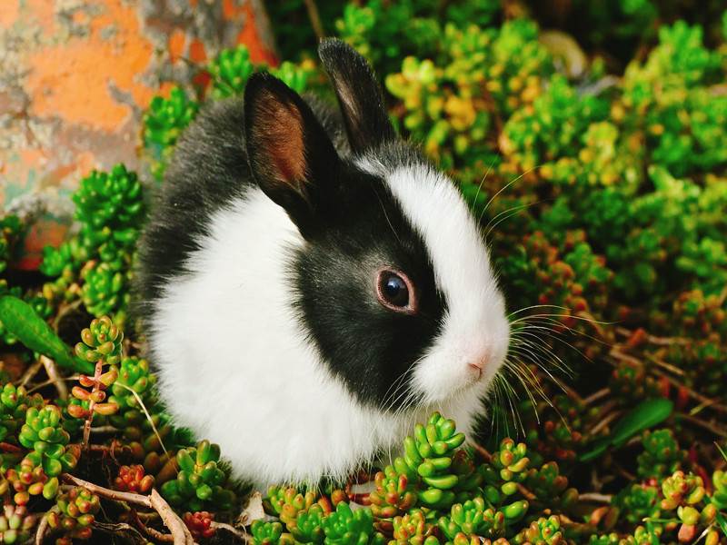 1608536314509859.jpg 1608536314509859.jpg