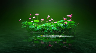 怎樣謝2020年盧秘太歲星君（謝太歲必看）