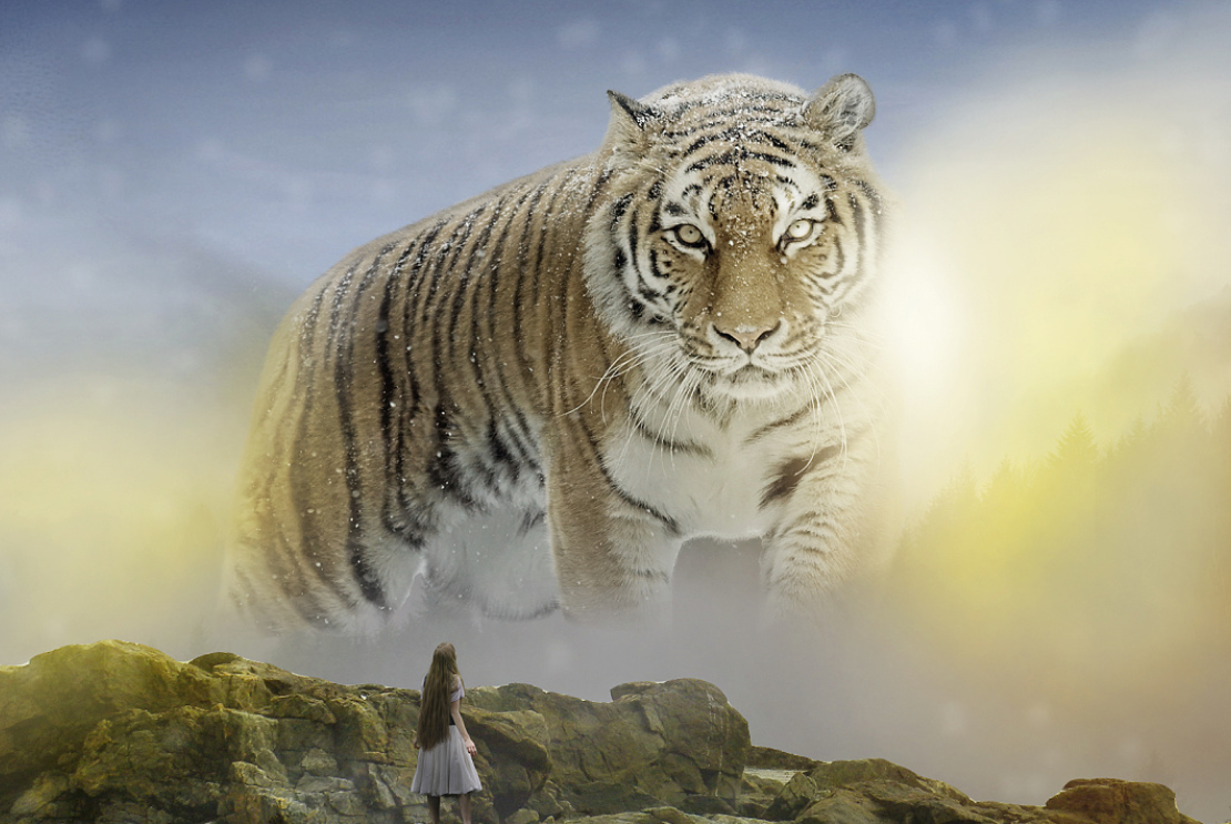 屬虎人的2022年運勢及運程