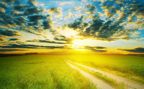 屬豬人的2022年運(yùn)勢及運(yùn)程 屬豬人的2022年運(yùn)勢及運(yùn)程