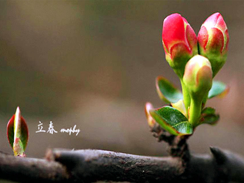 1643270221211292.jpg 6.jpg