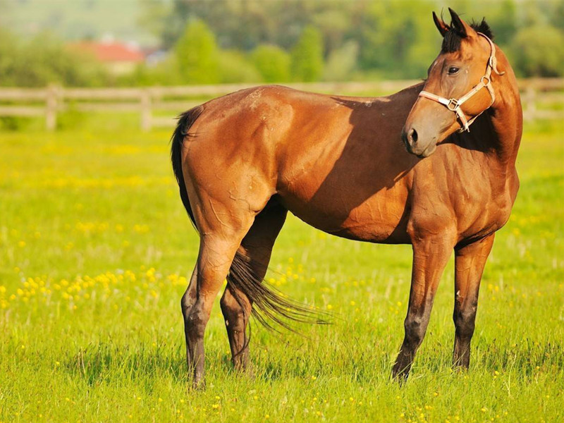 1652602662834214.jpg 4.jpg