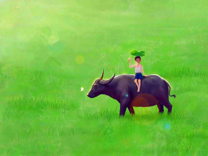 1652928288122837.jpg 1.jpg