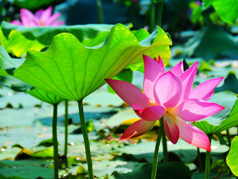 1653708352427425.jpg 2.jpg