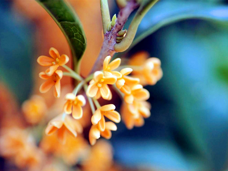 1654659106117573.jpg 1.jpg