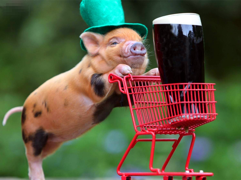 1655021596180949.jpg 4.jpg