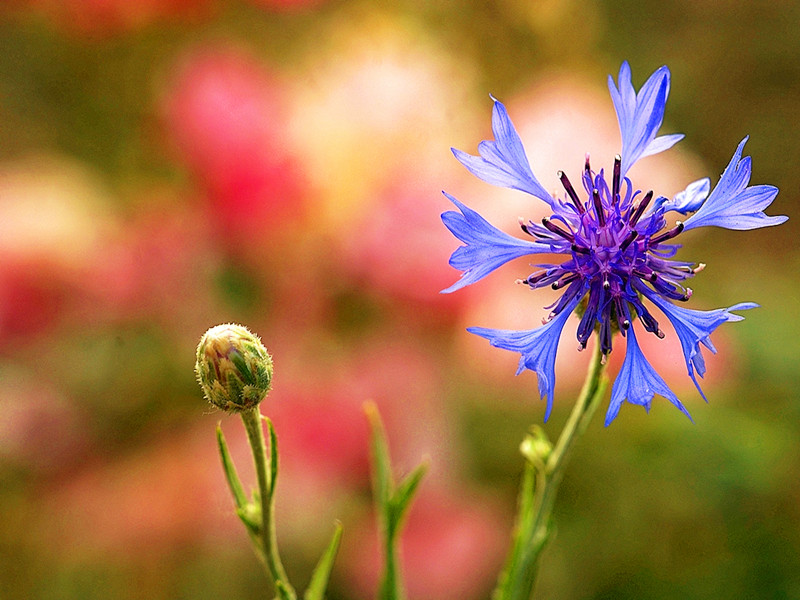 1655781998864979.jpg 02.jpg