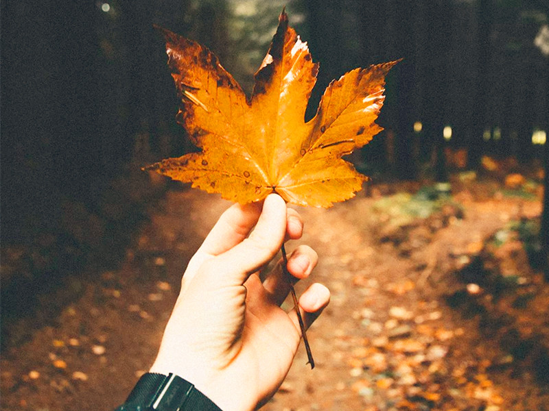 1655782009209729.jpg 03.jpg