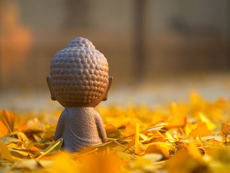 1661937372643447.jpg 0.jpg