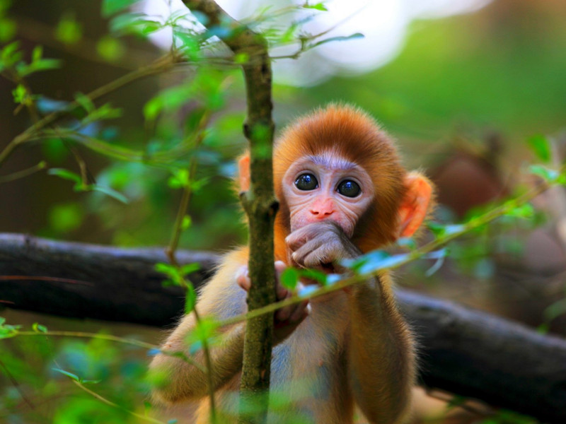 1662280000427787.jpg 3.jpg