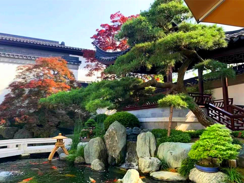 1663057178200960.jpg 04.jpg