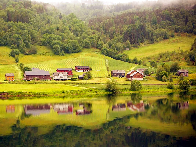 1665478412997145.jpg 5.jpg