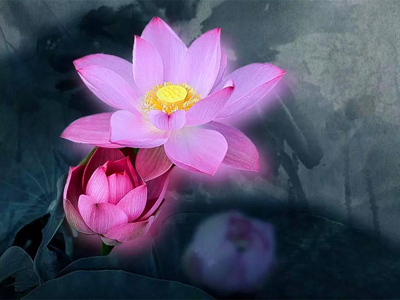 1665565850971166.jpg 1.jpg