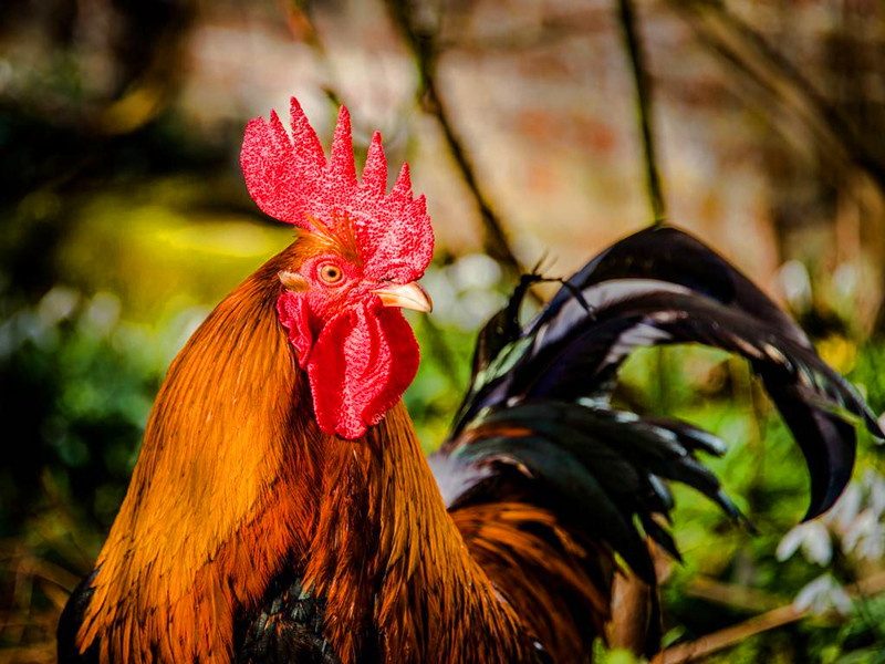 1665825901170125.jpg 5.jpg